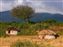 Two Maasai Huts
